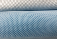 曹妃甸(PP)丙纶无纺布跟(PET)涤纶无纺布的区别